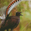 Lyrebird Diamond Painting