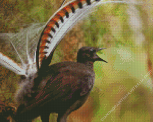 Lyrebird Diamond Painting