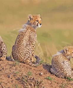 Maasai Mara Cheetah Cubs Diamond Painting