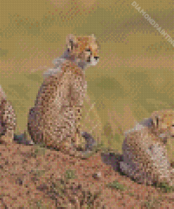 Maasai Mara Cheetah Cubs Diamond Painting