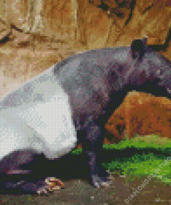 Malayan Tapir Diamond Painting