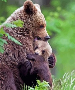 Mama Bear Hugging Her Baby Diamond Painting