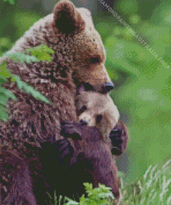 Mama Bear Hugging Her Baby Diamond Painting