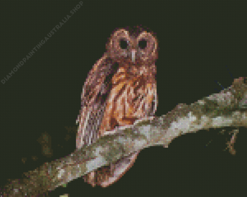 Marbled Owl Diamond Painting