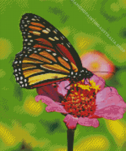 Monarch Butterfly On A Flower Diamond Painting