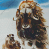 Muskox Art Diamond Painting