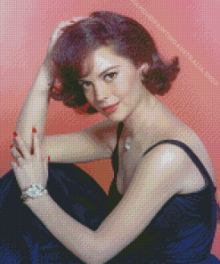 Natalie Wood Diamond Painting