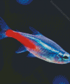 Neon Tetra Diamond Painting