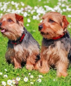 Norfolk Terrier Puppies Diamond Painting