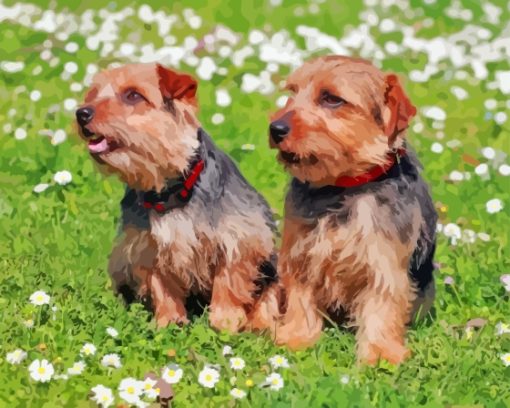 Norfolk Terrier Puppies Diamond Painting