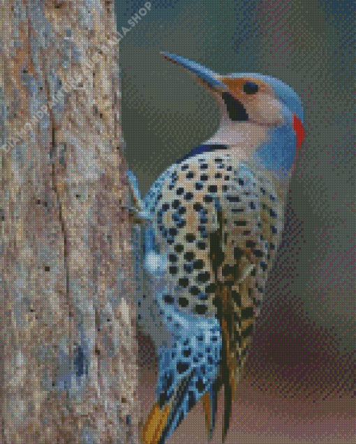 Northern Flicker Woodpecker Diamond Painting