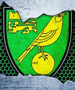 https://diamondpaintingaustralia.shop/wp-content/uploads/2024/02/Norwich-City-Fc-Logo-Diamond-By-Numbers.png