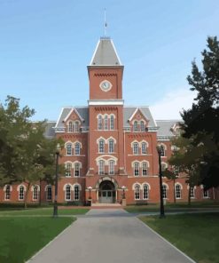 Ohio State University Diamond Painting