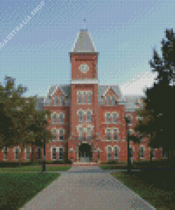 Ohio State University Diamond Painting