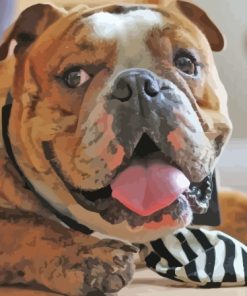 Old English Bulldog Face Diamond Painting