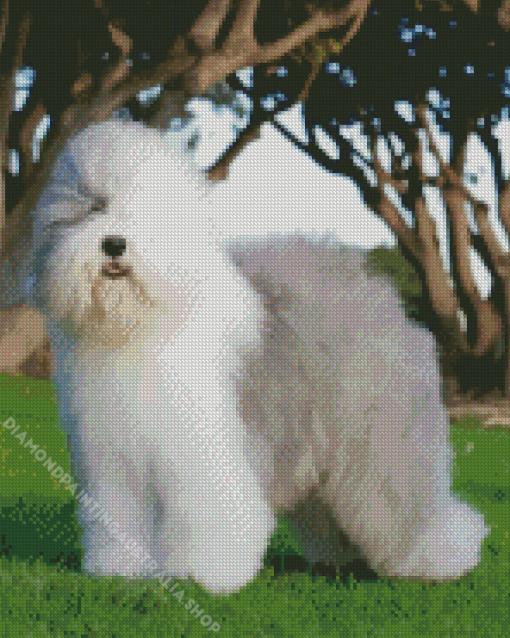 Old English Sheepdog Diamond Painting