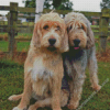 Otterhound Dog Diamond Painting