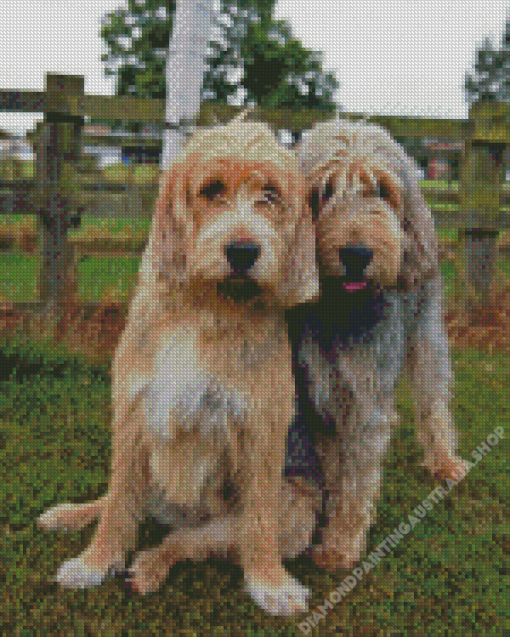 Otterhound Dog Diamond Painting