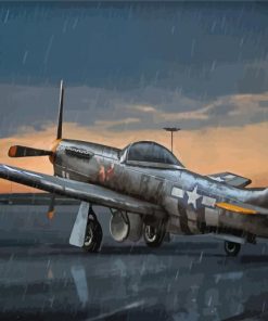 P51 Mustang Under Rain Art Diamond Painting