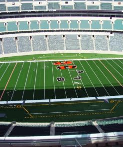 Paycor Paul Brown Stadium Diamond Painting