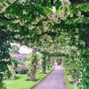 Pergola With Flowers Diamond Painting