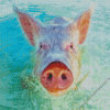 Pig In The Beach Diamond Painting