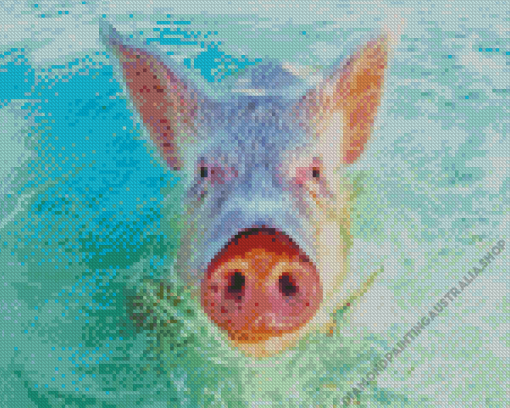 Pig In The Beach Diamond Painting