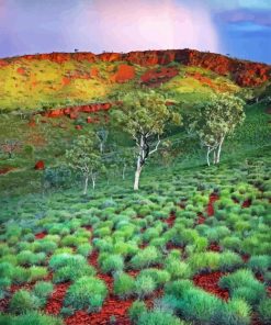 Pilbara Diamond Painting