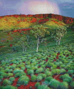 Pilbara Diamond Painting