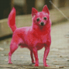 Pink Chihuahua Diamond Painting