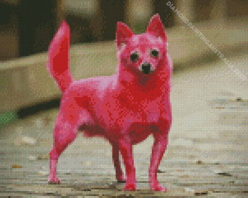 Pink Chihuahua Diamond Painting