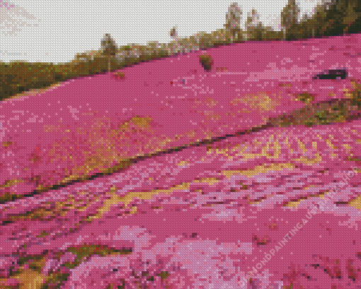 Pink Field Diamond Painting