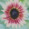 Pink Sunflower Plant Diamond Painting