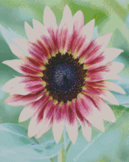 Pink Sunflower Plant Diamond Painting