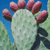 Prickly Pears Diamond Painting