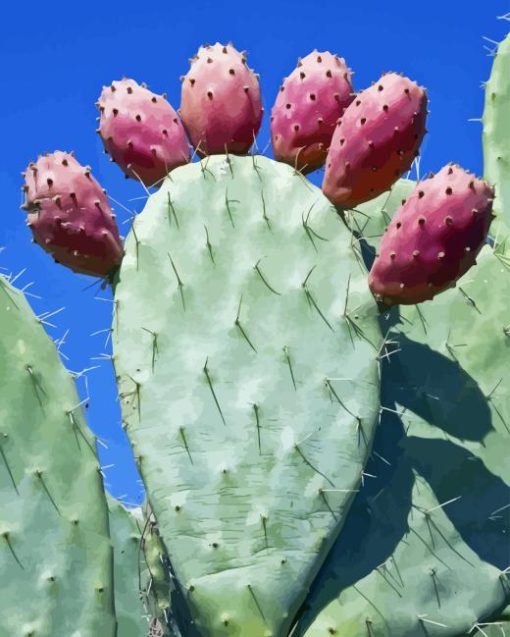 Prickly Pears Diamond Painting