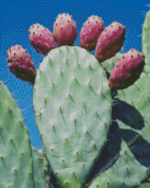 Prickly Pears Diamond Painting