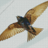 Purple Martin Diamond Painting