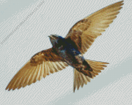 Purple Martin Diamond Painting