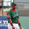 Rafael Devers Diamond Painting