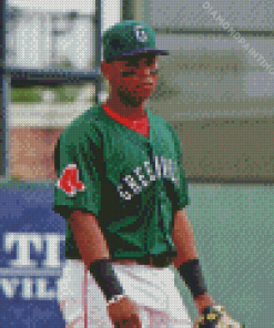 Rafael Devers Diamond Painting