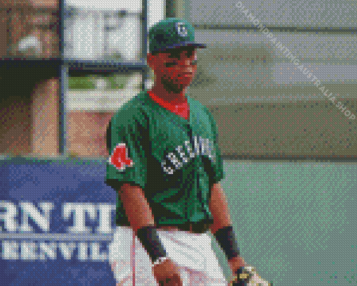 Rafael Devers Diamond Painting