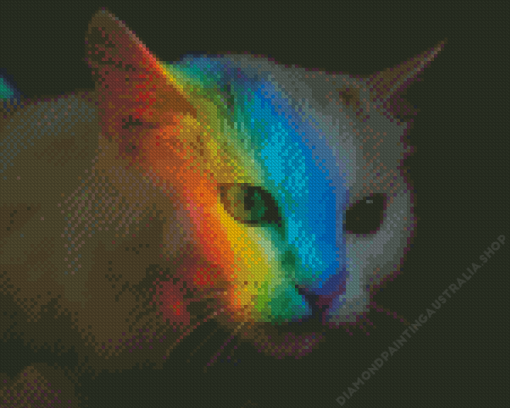 Rainbow Reflection Cat Diamond Painting