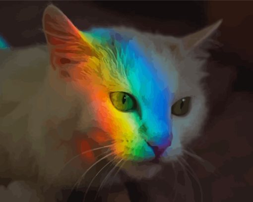 Rainbow Reflection Cat Diamond Painting