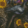 Raven Sunflower Diamond Painting