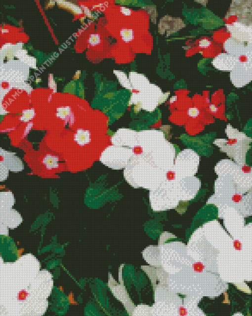 Red And White Flowers Diamond Painting