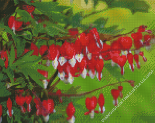 Red Asian Bleeding Heart Diamond Painting