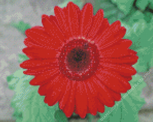 Red Flower In Garden Diamond Painting