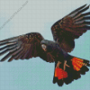 Red Tailed Black Cockatoo Wings Diamond Painting