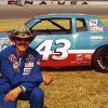 Richard Petty American Race Car Driver Diamond Painting